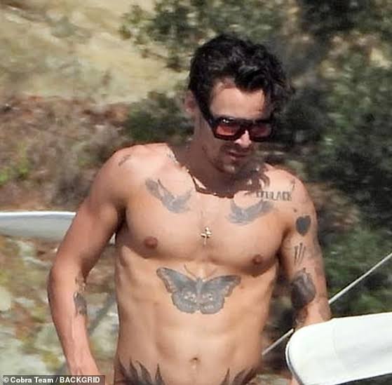 Shirtless Harry Styles Enjoys Boat Ride With Victoria S Secret Lingerie