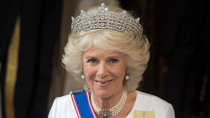 Queen Consort Camilla Flies To India For Ten-Day Holistic Therapy Holiday