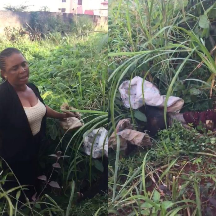 How a Woman beats her maid to death, abandons the body in a bush (graphic video)