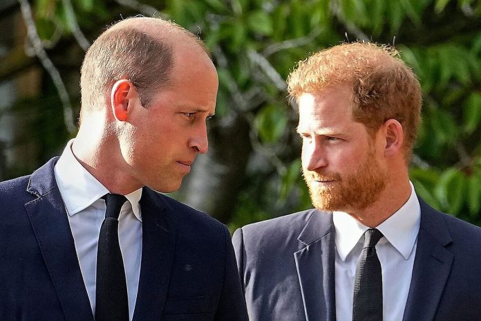 Should bald William be replaced as prince of Wales by Prince Harry since Harry is more good-looking and does not like a bald 80 year old?