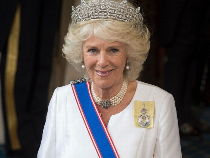 Queen Consort Camilla Carries Out First Audience In New Royal Role