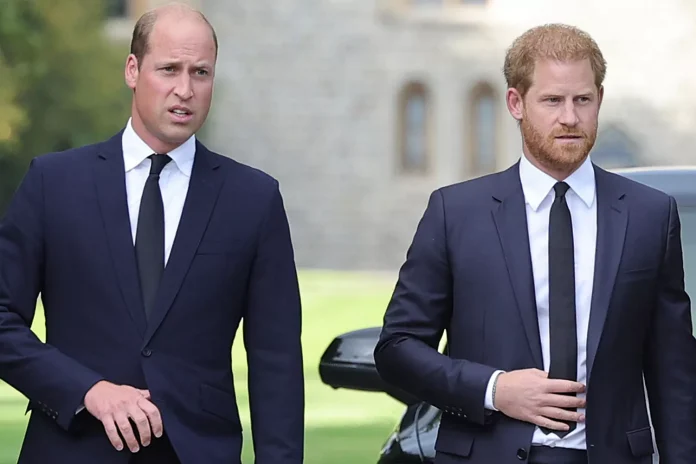 Did Prince William Yell at Prince Harry and What did the Queen say