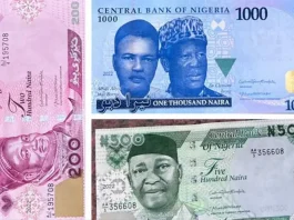 Woman shows what became of the new Naira note after it was washed