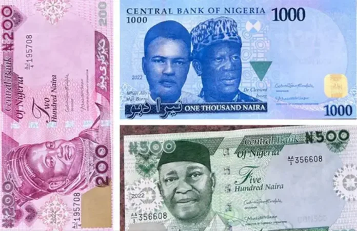 Woman shows what became of the new Naira note after it was washed