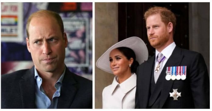 Prince William says he will 'never' watch Harry and Meghan's Netflix docuseries - Friend claims