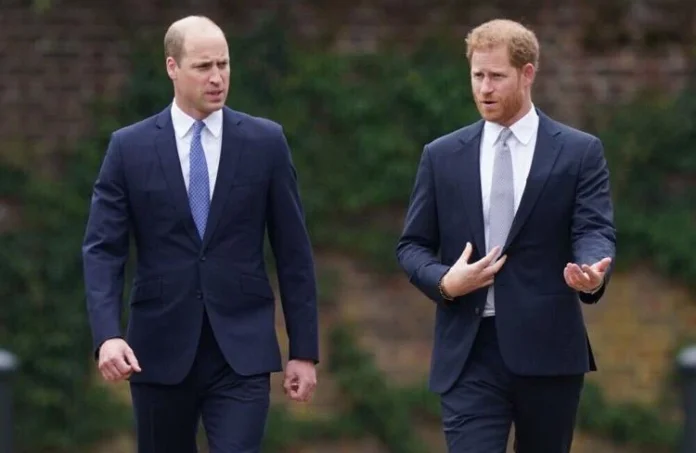 William Told Harry He Had Been Brainwashed By Therapy During A Row