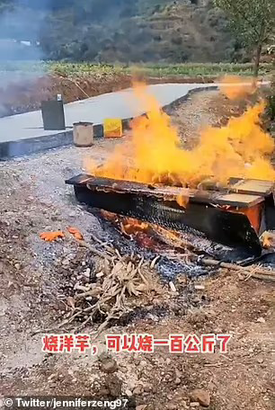 Chinese families 'start burning bodies of their loved ones in the streets'