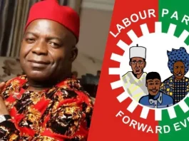 Court Nullifies Alex Otti’s Candidature Alongside All LP Contestants In Abia And Kano