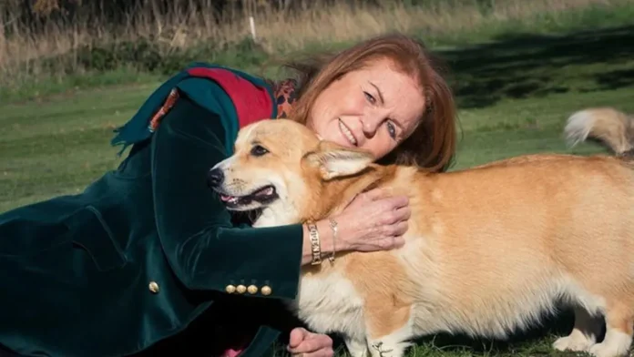 Sarah Ferguson Gives Update About Sharing Custody Of Late Queen's Corgis With Prince Andrew