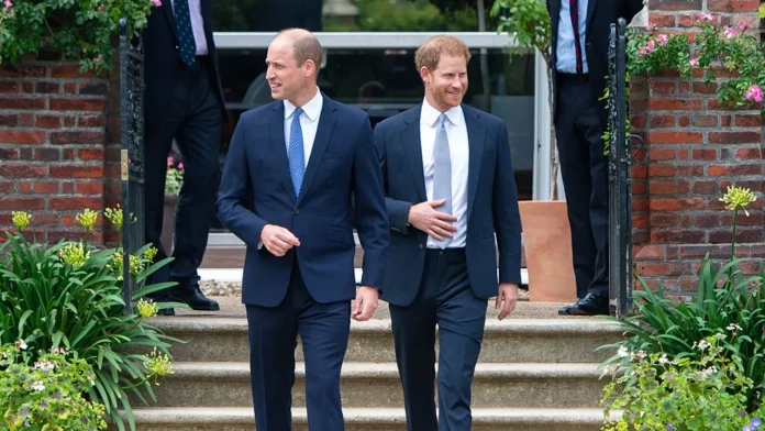 Prince Harry And Prince William Both Make Appearances For Cause Close To Their Hearts