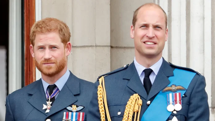 Will Prince William Reunite With Prince Harry And His Kids Lilibet And Archie During US Trip