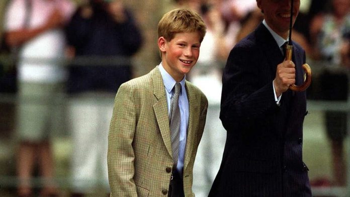 See Prince Harry's Professional Reaction To Overwhelmed Royal Fans In Unearthed Photo