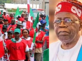 NLC, TUC Protests As Tinubu’s Administration Threatens Union Leaders With Lawsuit Over Indefinite Strike