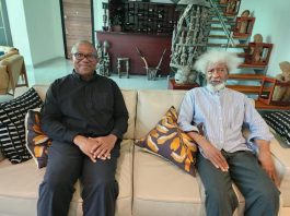 ‘Labour Party Leadership Knows Peter Obi Lost 2023 Polls, But They Want To Force Lies On Nigerians’ - Wole Soyinka