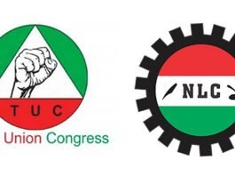 Strike: NLC, TUC To Ground Activities Nationwide From October 3rd, 2023 Against Increment of PMS