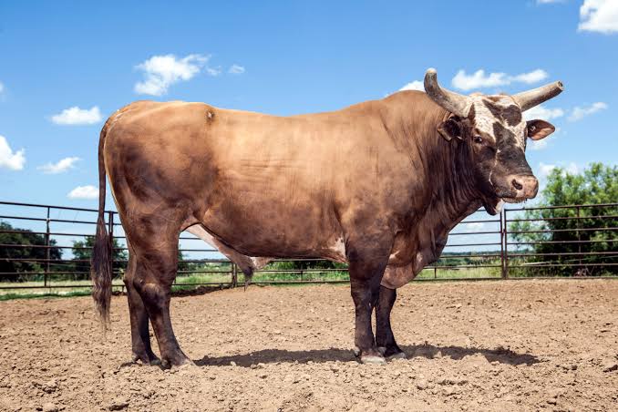 Farmhand, 59, is left paralyzed from the waist DOWN after he was ...