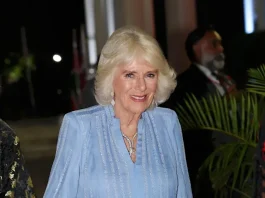 Queen Camilla Chooses Sentimental Jewels For Lavish State Banquet