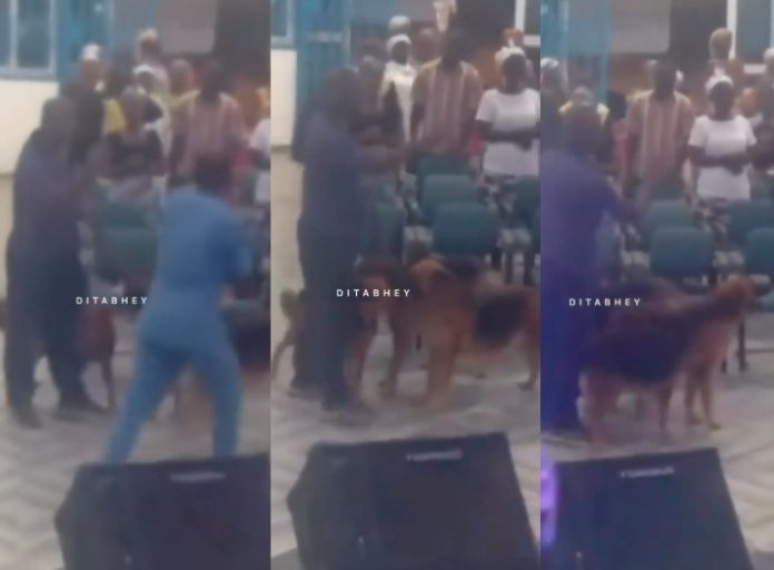 Man Storms Neighbouring Church With His Dogs To Caution Them Over 'Noise Pollution', (Video)