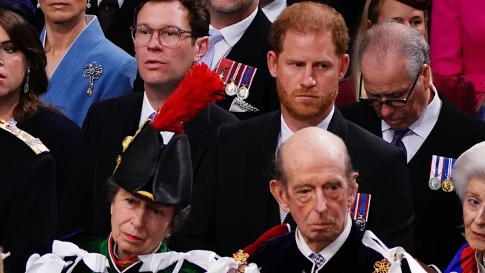 Princess Anne Breaks Silence Over 'Decent-Sized Hat' Blocking Prince Harry's View At Coronation