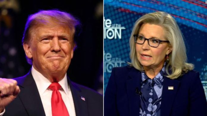 Liz Cheney Fears West Wing Will Be The 'Putin Wing' If Trump Elected