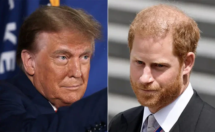 'He Would Be On His Own If It Was Down To Me!' Trump Slams Prince Harry Over Attacks On Royals And Says He Wouldn't Defend Duke Of Sussex Over Visa Wrangle Like Biden Administration Has