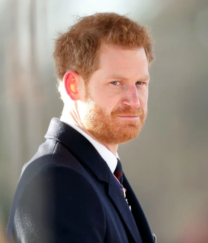 Prince Harry's Unbelievably 'Rude' Comment To Journalists On A Plane After Lengthy Tour With Meghan Markle