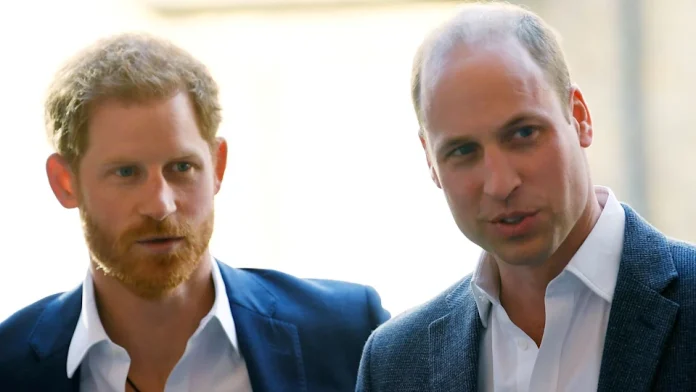 Prince William's Unsuccessful Attempt At Private Meeting With Prince Harry After Shocking Confession