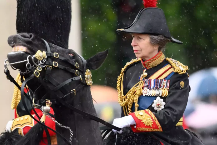 Princess Anne Sustained Minor Injuries And A Concussion Following Incident At Her Home