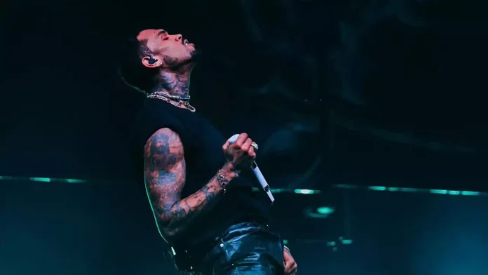 Singer Chris Brown's Bulge Is Bursting The Internet