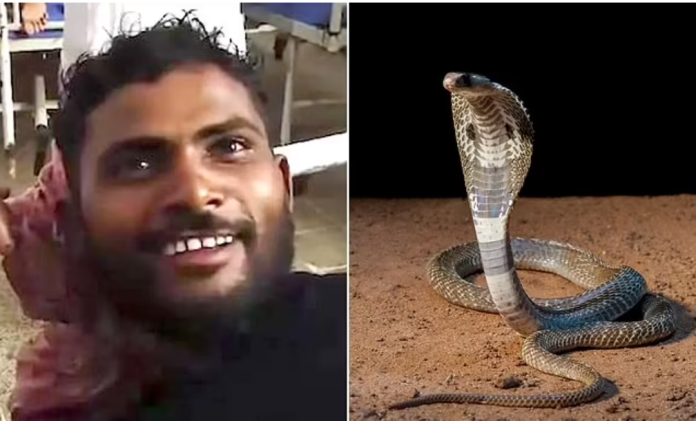 A Man Bit A Snake To Death After Being Bitten By The Reptile While He Was Asleep